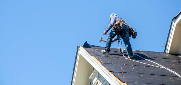Best Flat Roof Repair Services  in Humboldt, KS